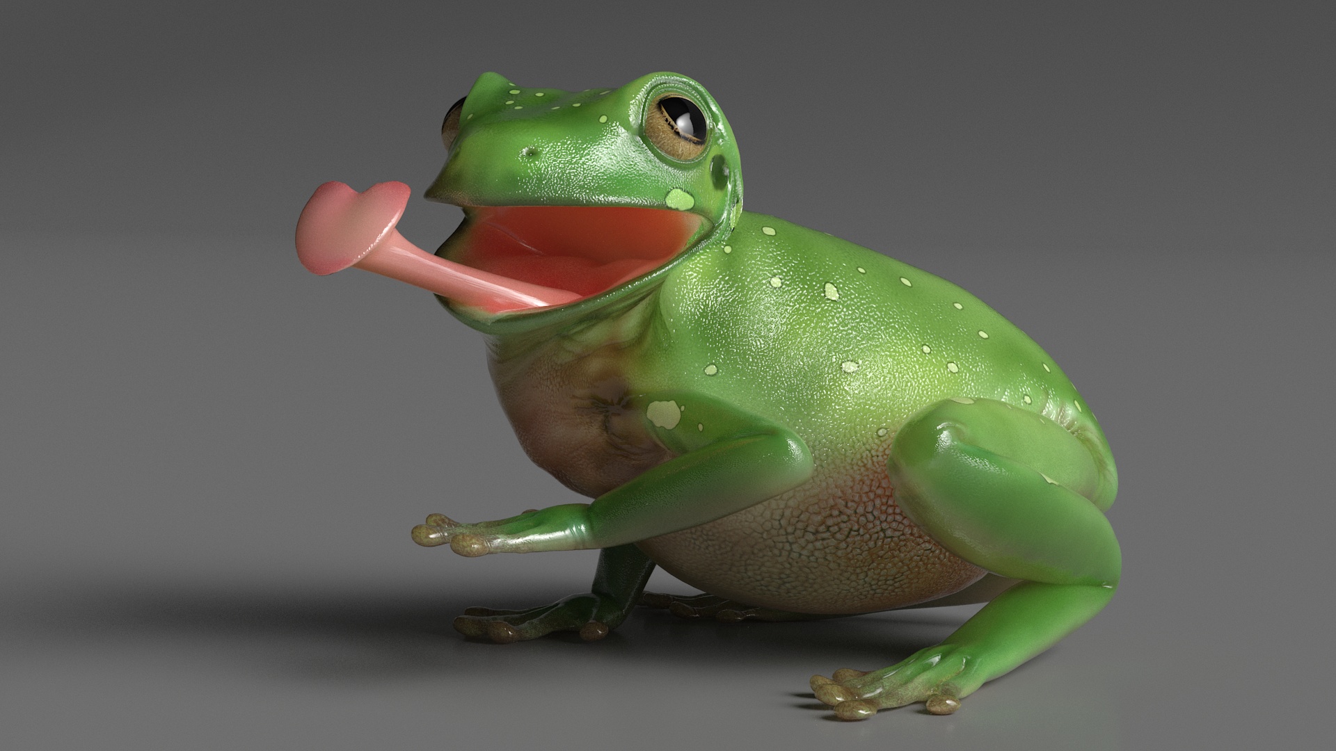 Realistic Australian Green Frog Rigged for Maya 3D