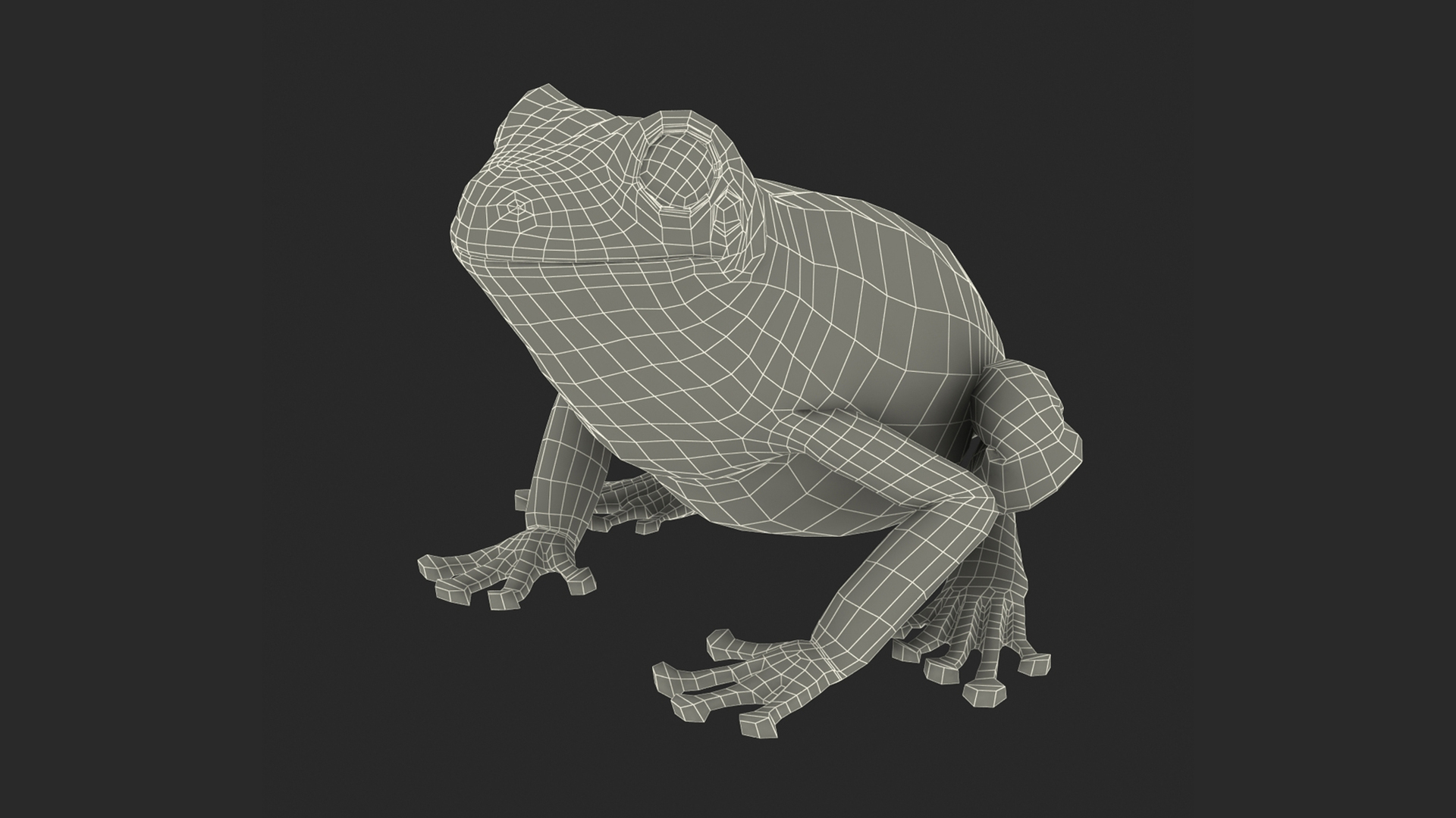 Realistic Australian Green Frog Rigged for Maya 3D