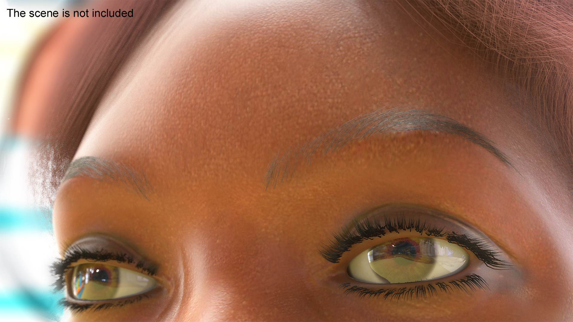 3D Rounded Brows model