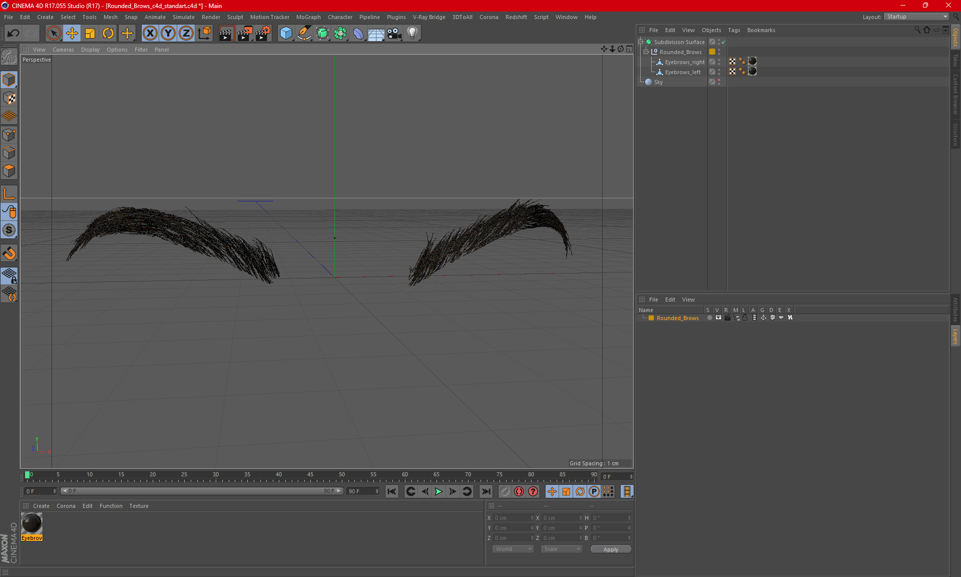 3D Rounded Brows model