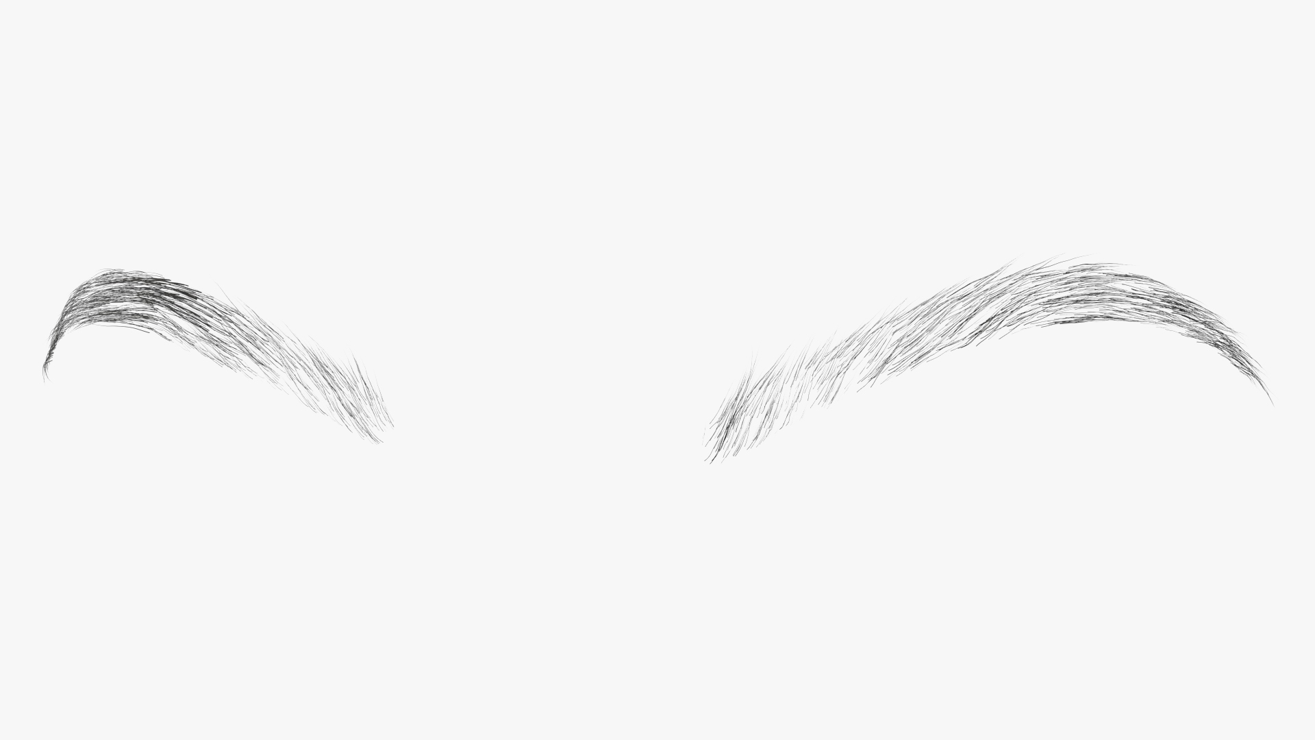 3D Rounded Brows model