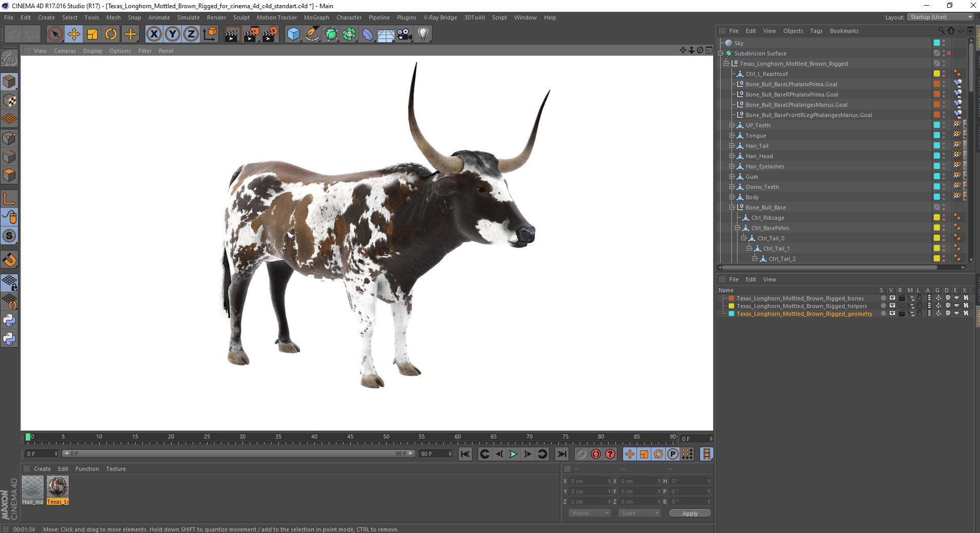 Texas Longhorn Mottled Brown Rigged for Cinema 4D 3D model