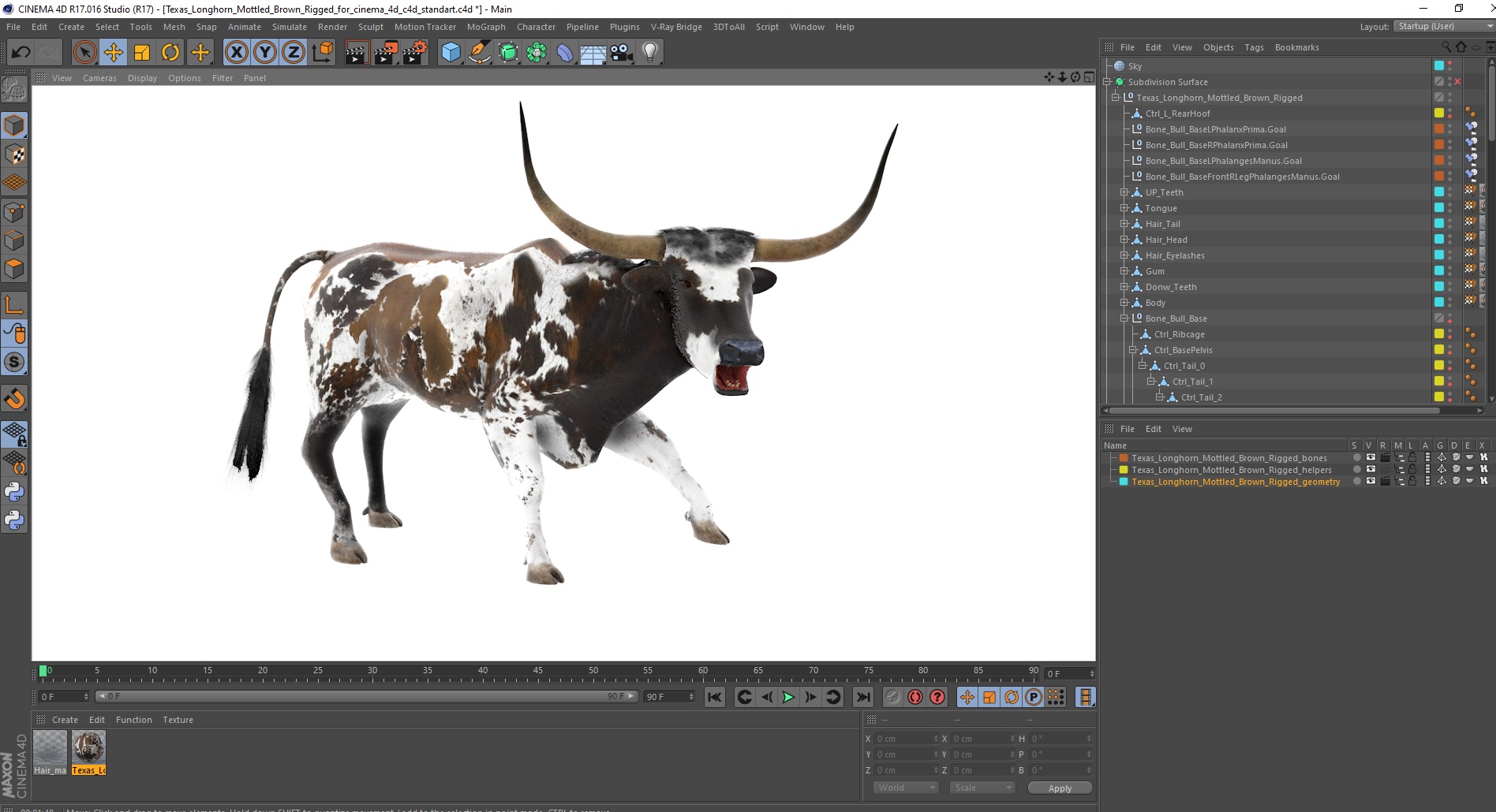 Texas Longhorn Mottled Brown Rigged for Cinema 4D 3D model