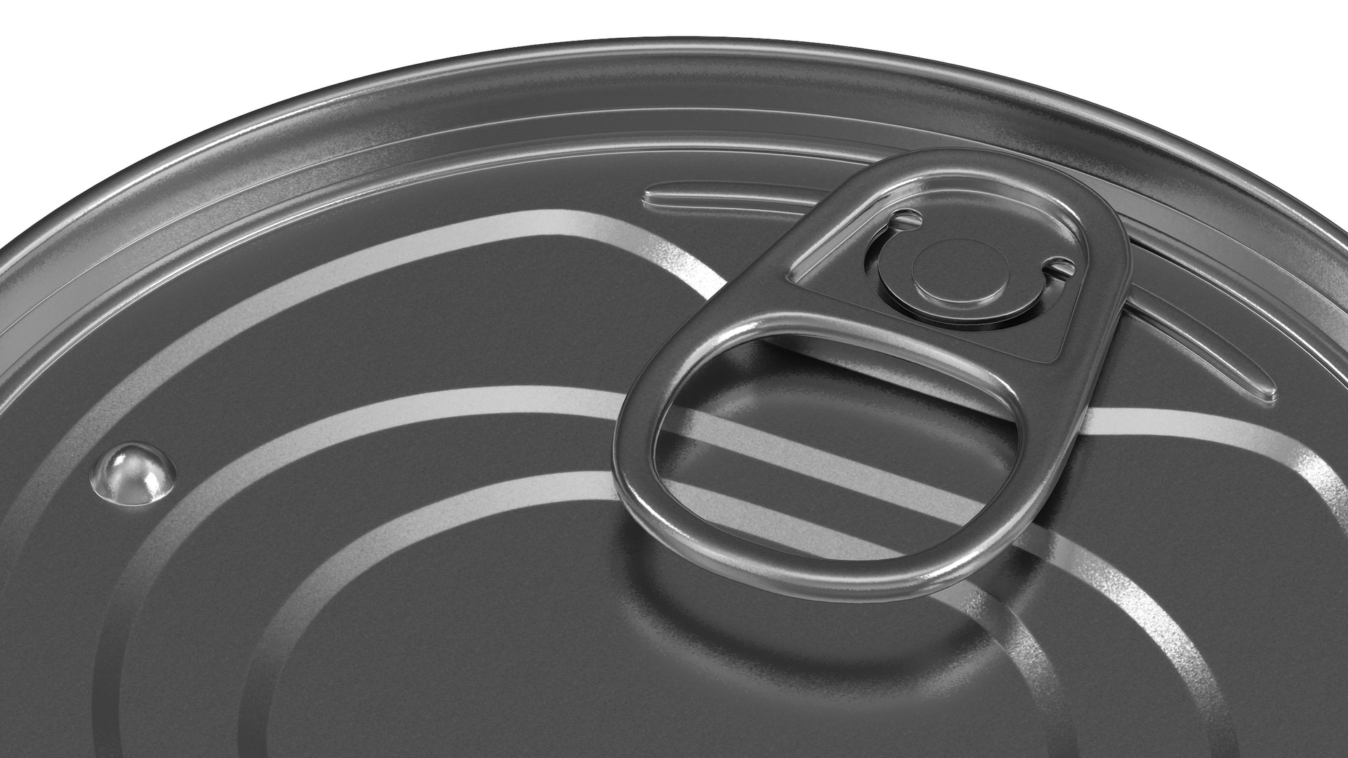 3D Canned Sardines in Tomato Souse