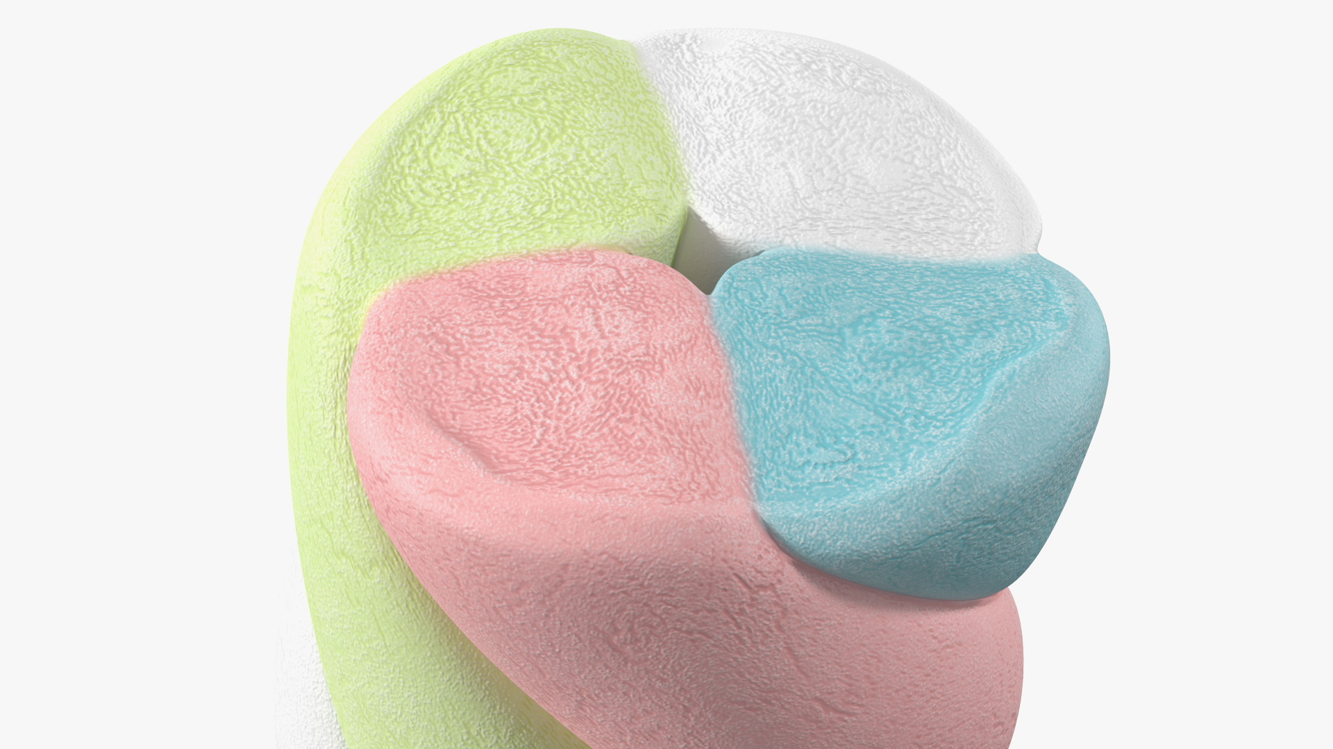 Multi Colored Marshmallow Twists 3D