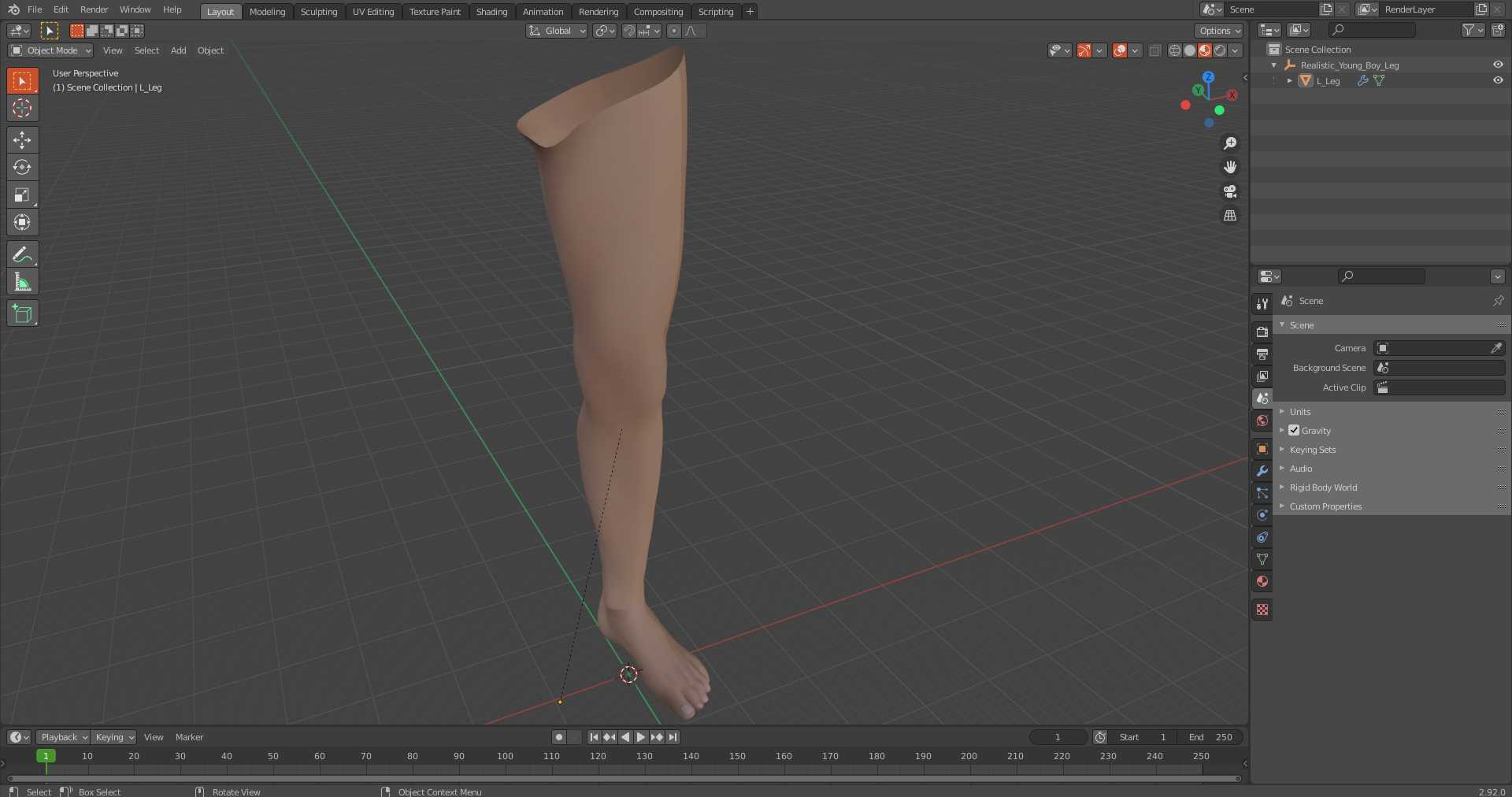 3D Realistic Young Boy Leg model