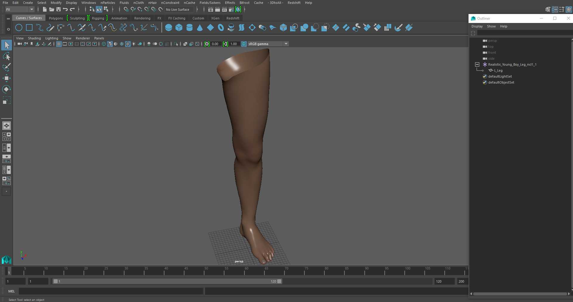 3D Realistic Young Boy Leg model