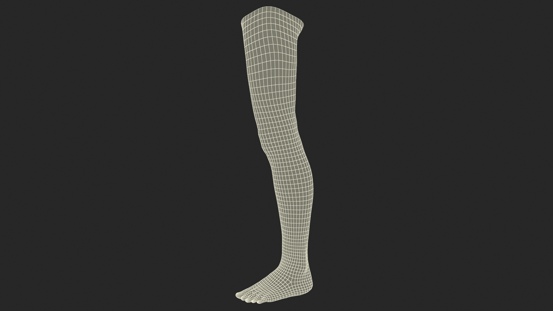 3D Realistic Young Boy Leg model