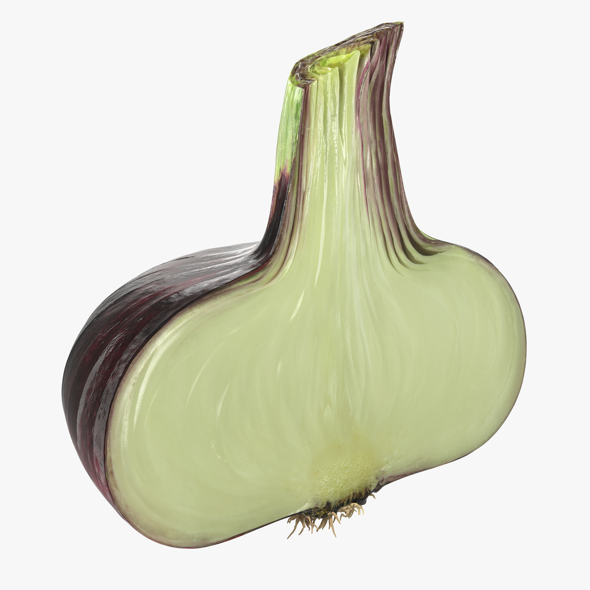 Red Onion Half 3D Model