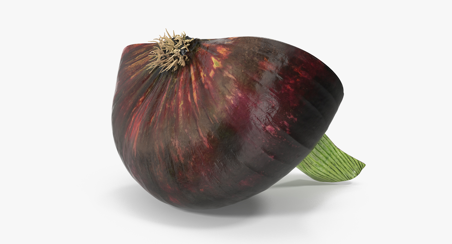 Red Onion Half 3D model