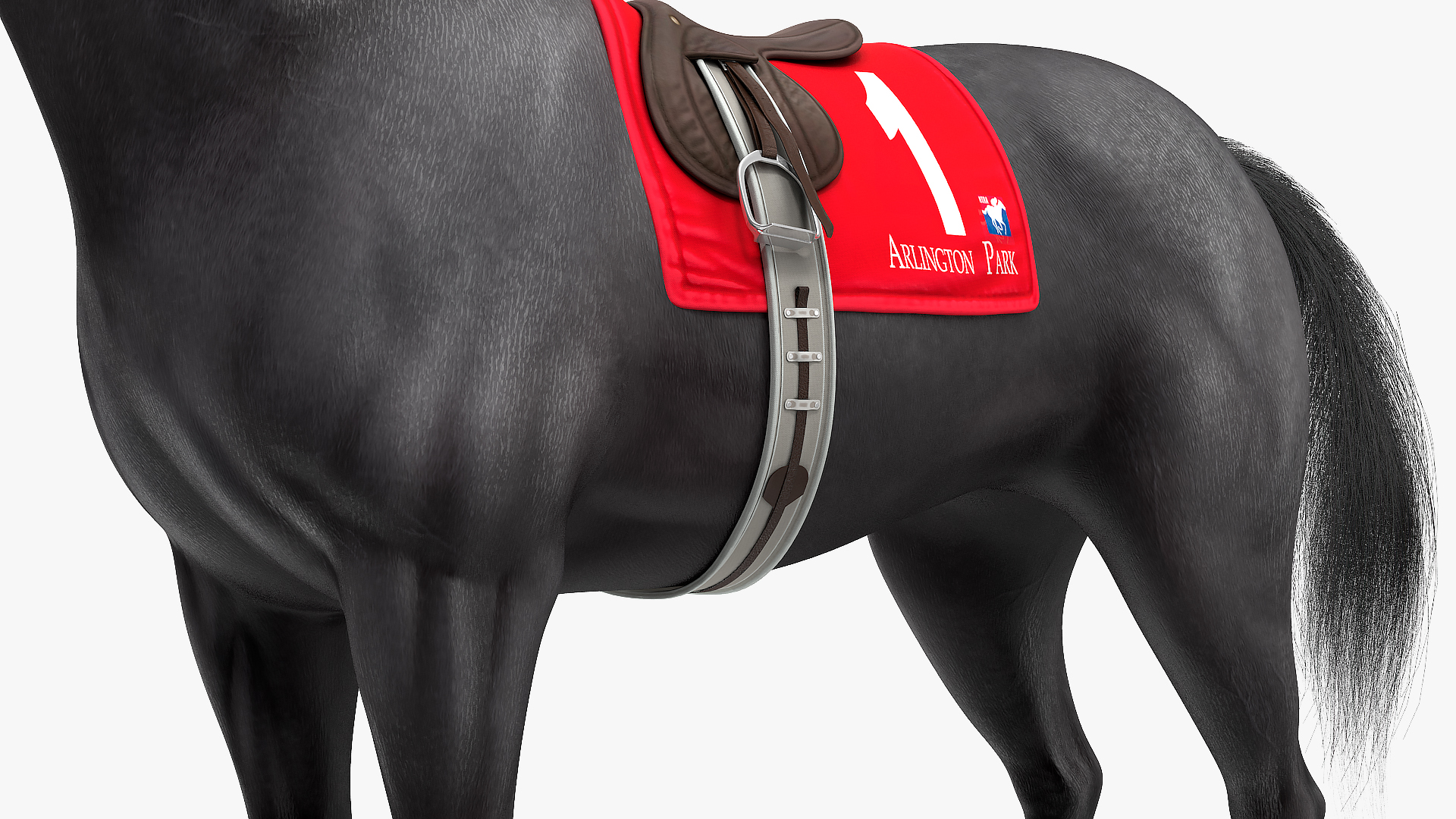Black Racing Horse Fur 3D
