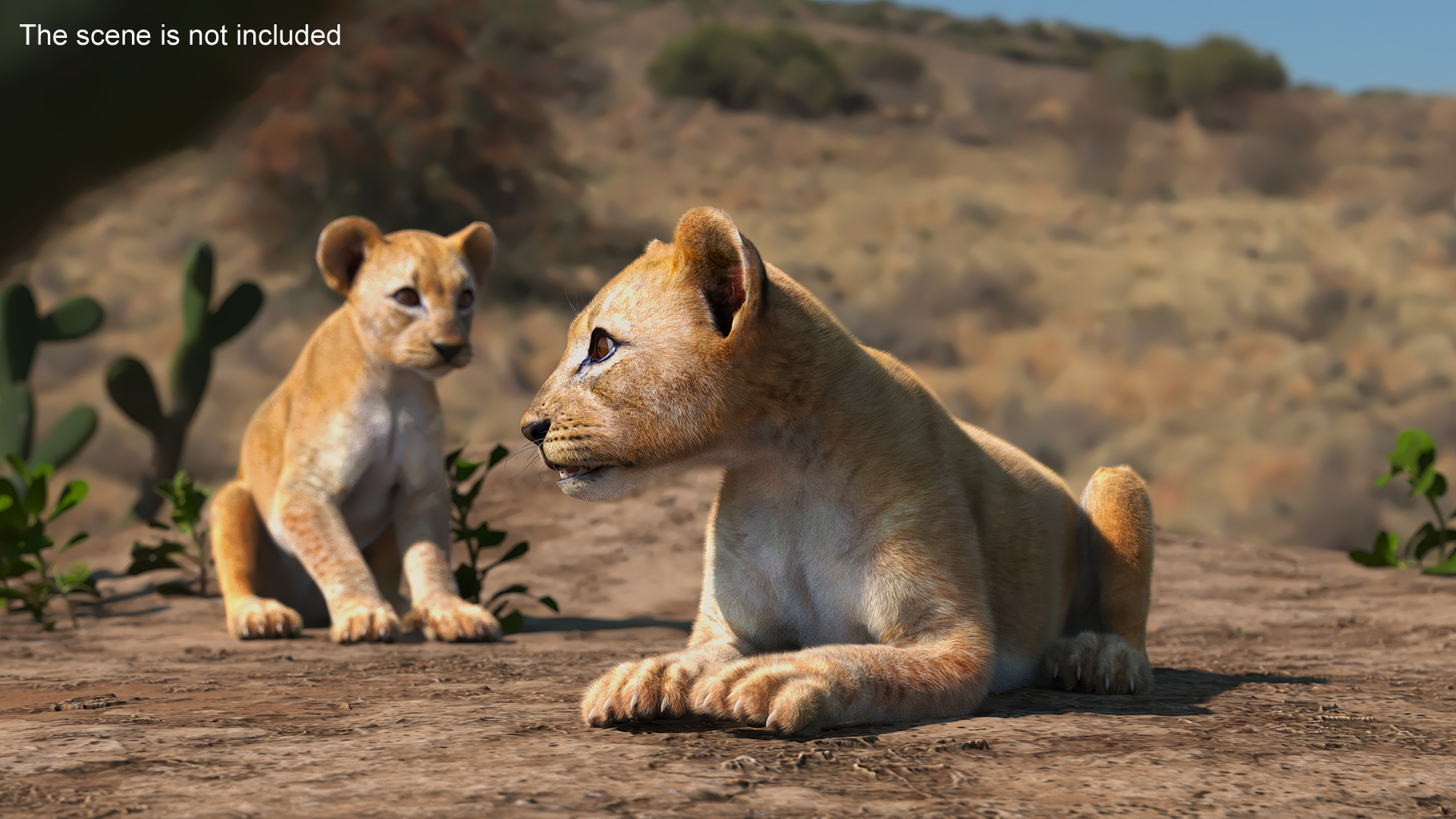 3D Lion Cub Lying Down Fur model