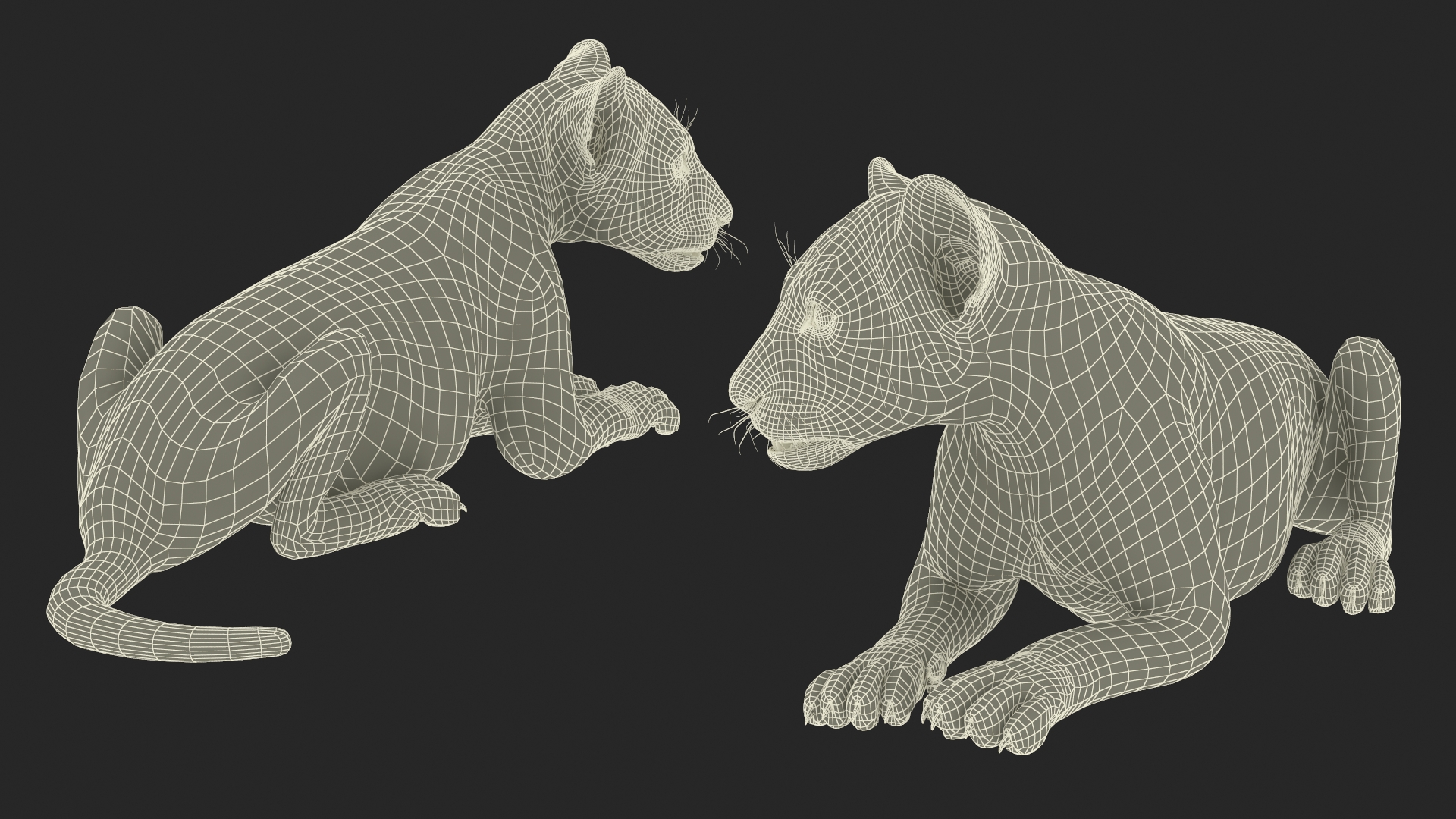 3D Lion Cub Lying Down Fur model