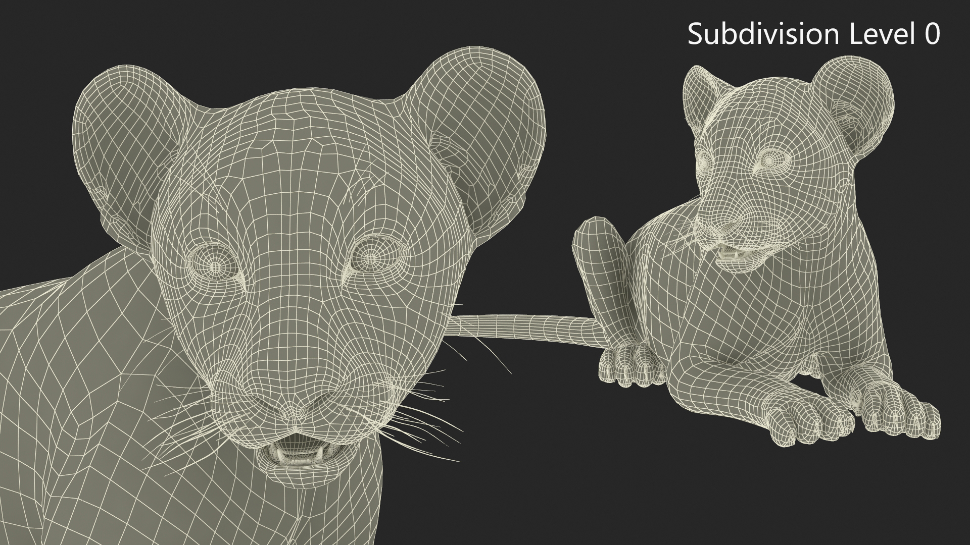 3D Lion Cub Lying Down Fur model