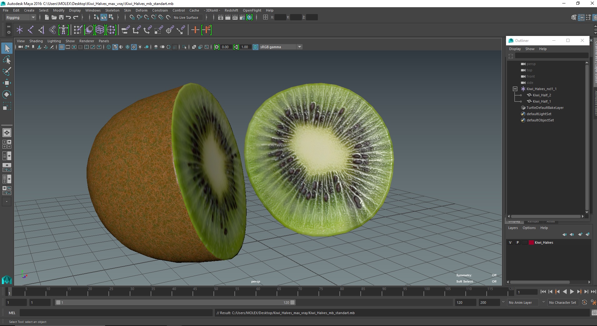3D Kiwi Halves