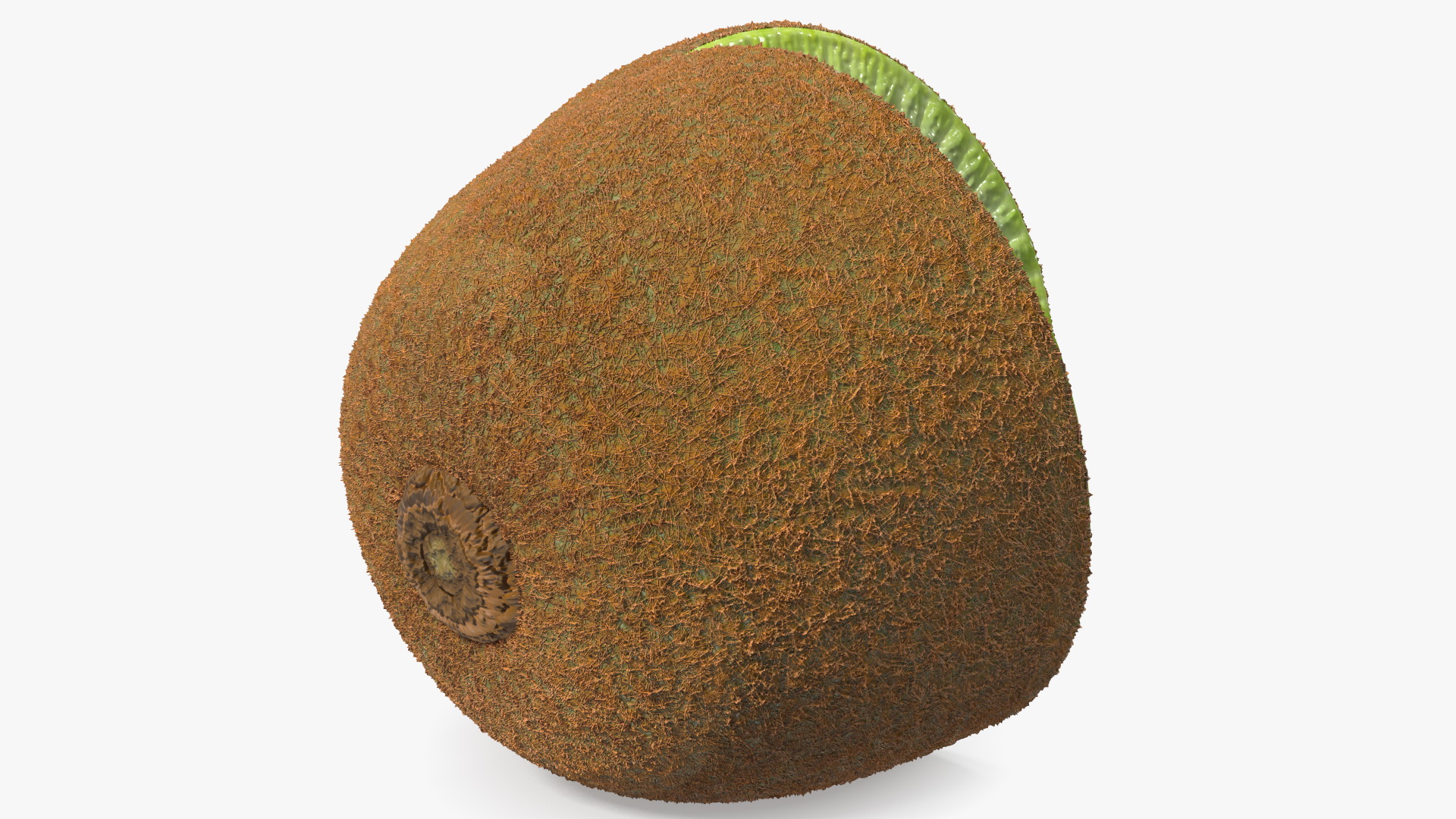 3D Kiwi Halves