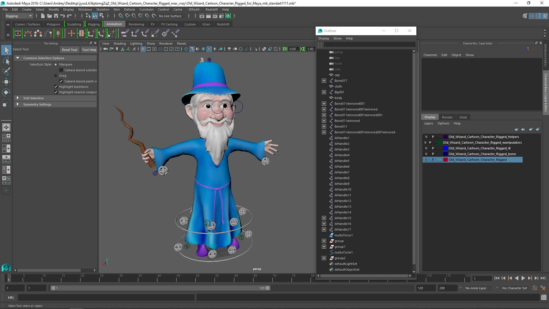 Old Wizard Cartoon Character Rigged for Maya 3D model