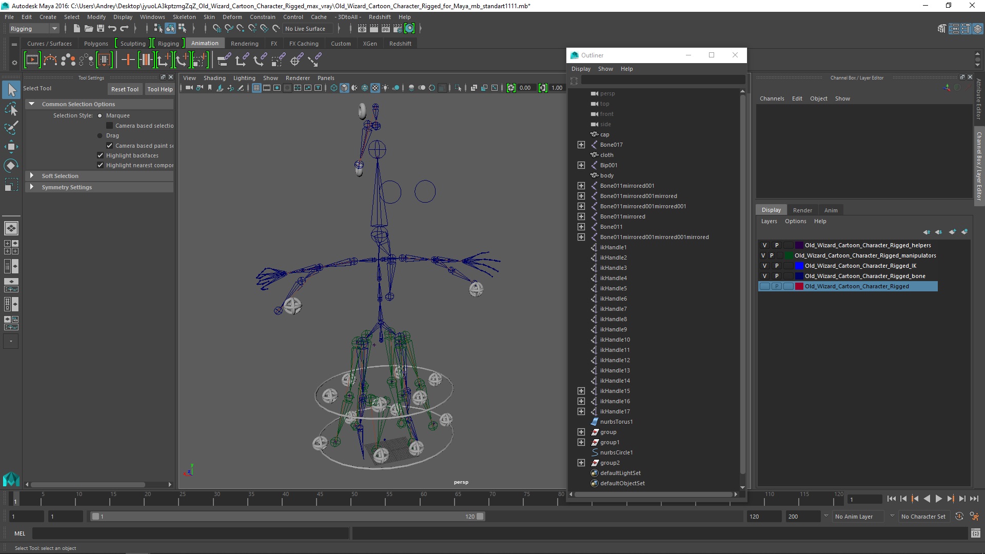 Old Wizard Cartoon Character Rigged for Maya 3D model