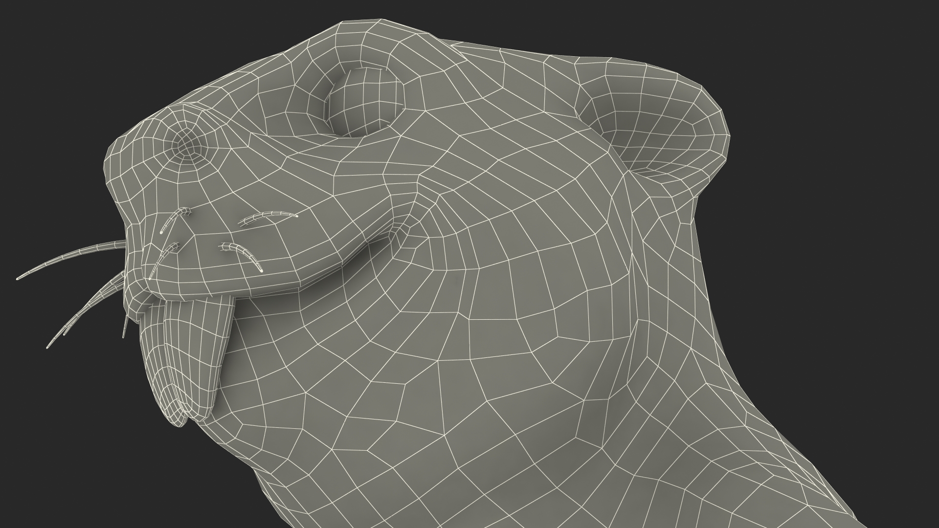 Cartoon Beaver Neutral Pose 3D