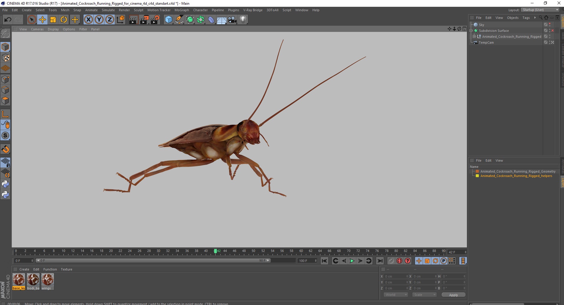 Animated Cockroach Running Rigged for Cinema 4D 3D