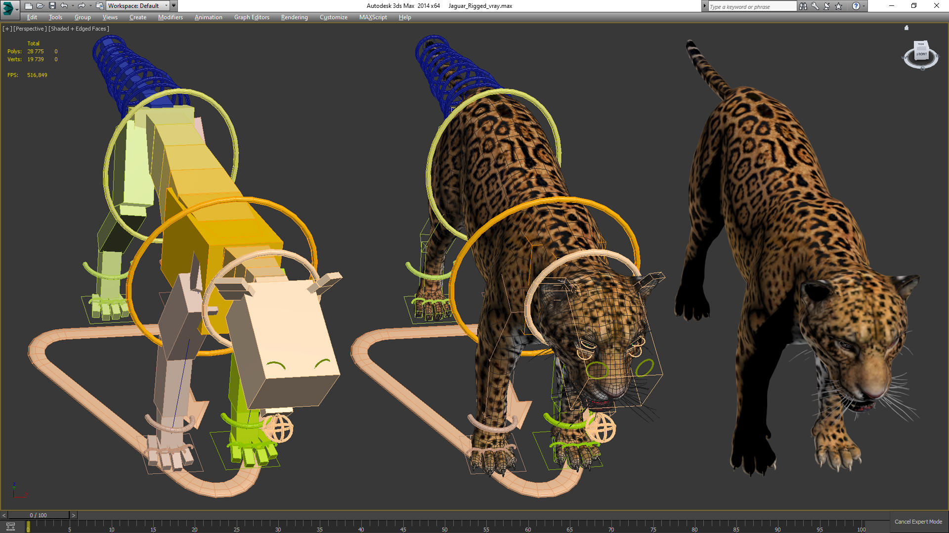 Jaguar Rigged for Maya 3D