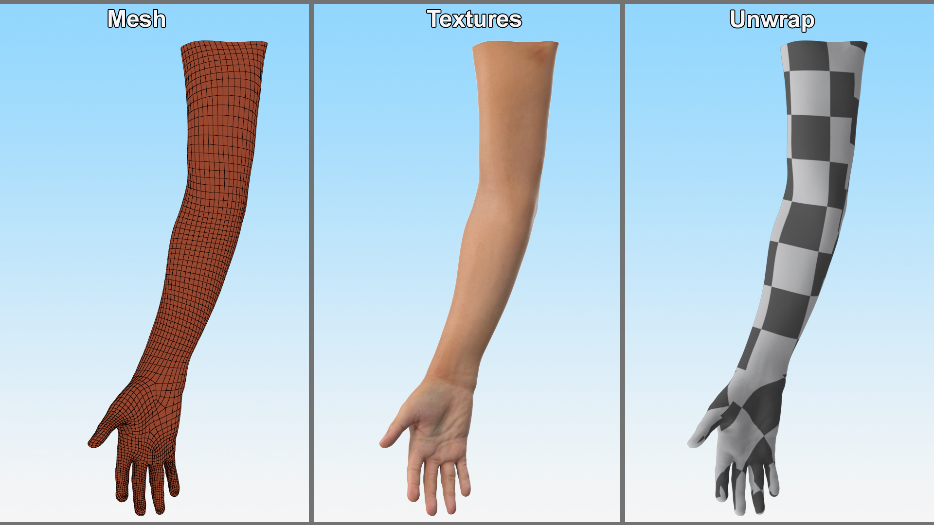 3D Realistic Young Boy Arm model