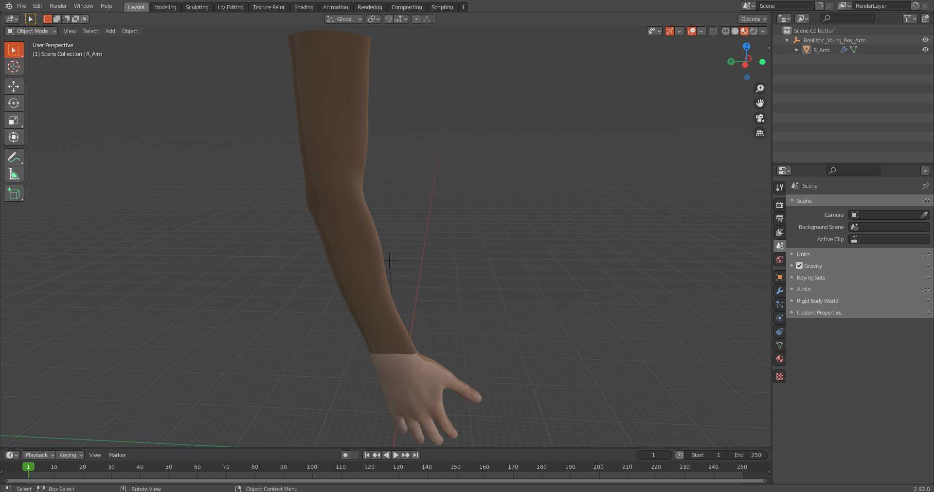 3D Realistic Young Boy Arm model