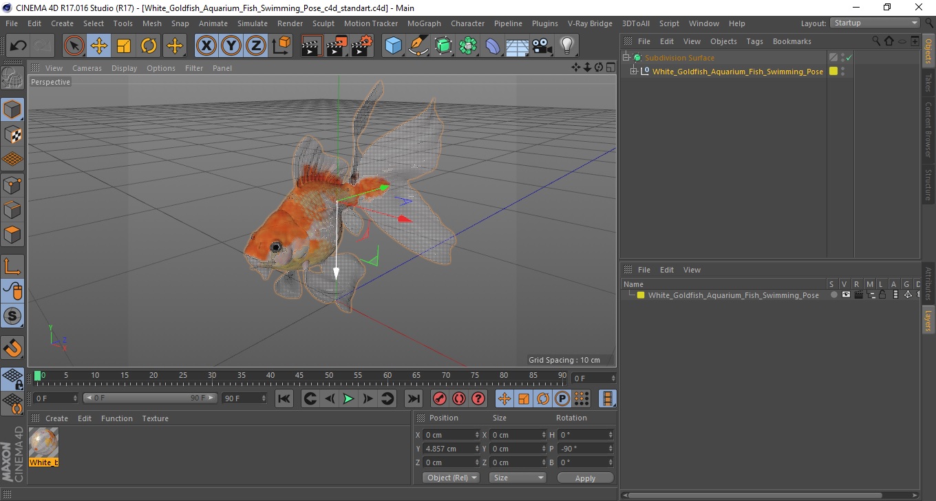 White Goldfish Aquarium Fish Swimming Pose 3D