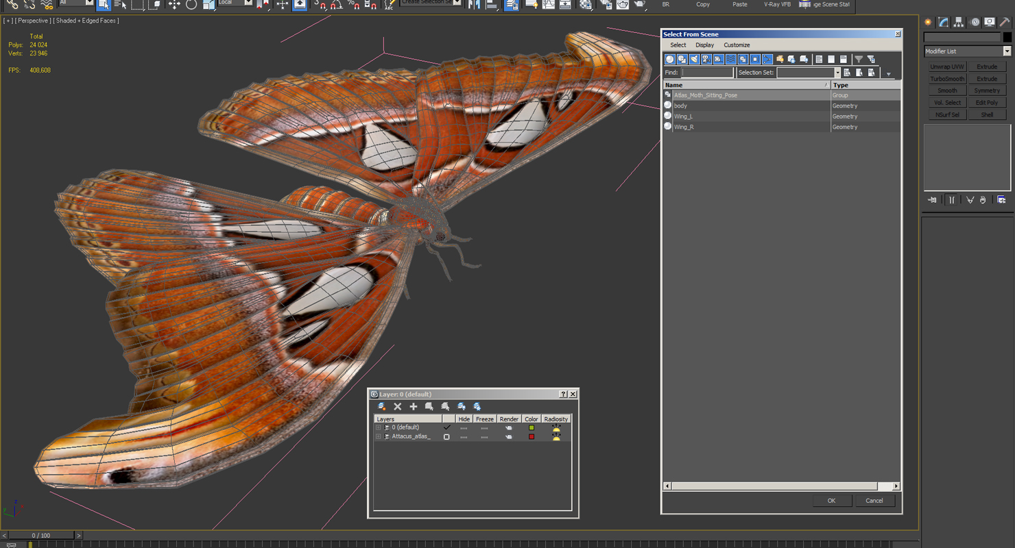 3D Atlas Moth Sitting Pose model