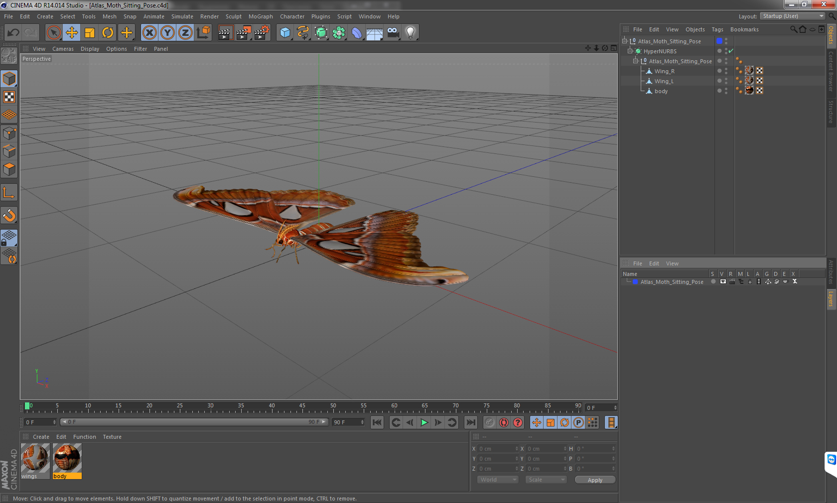 3D Atlas Moth Sitting Pose model