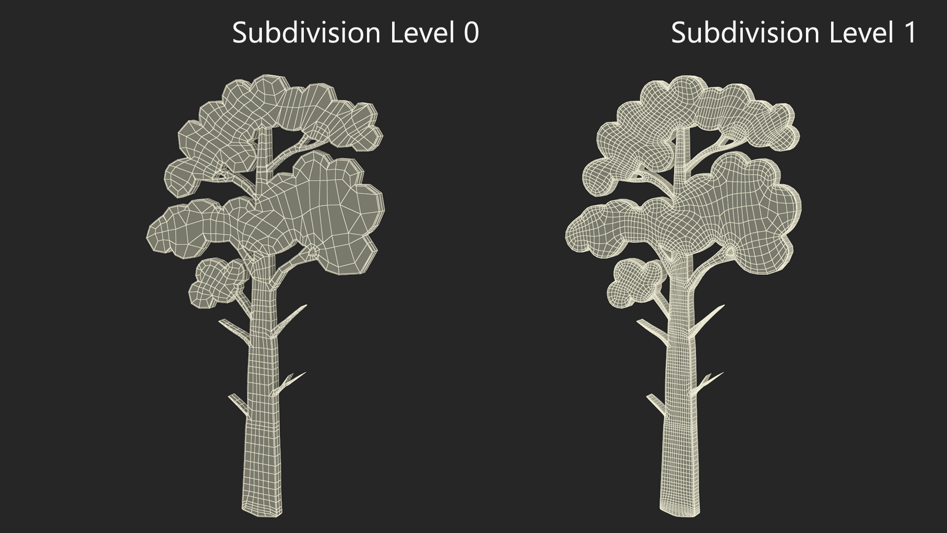 3D model Pine Tree Silhouette