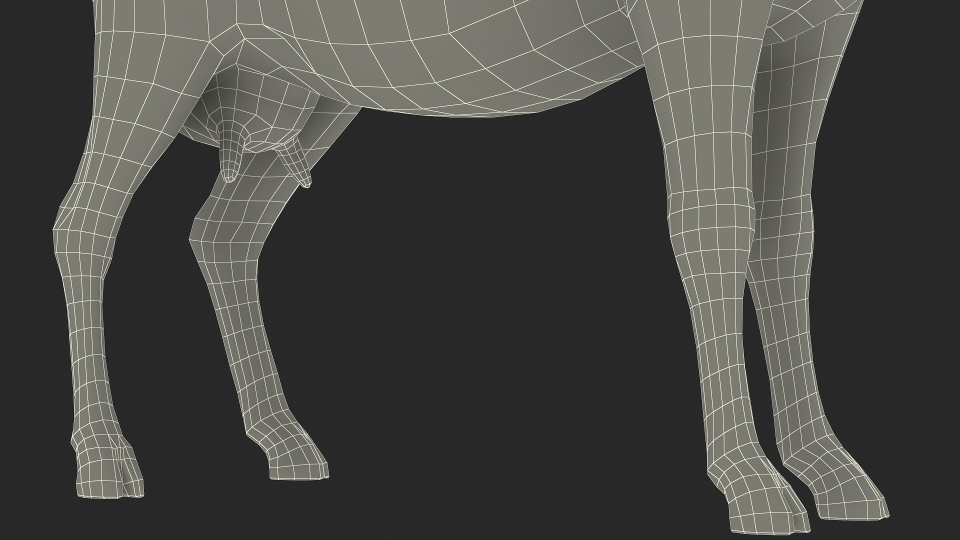 3D Goat Saanen Breed Rigged Fur model