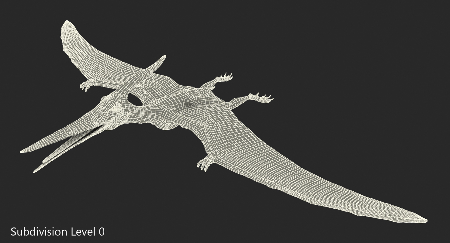 Pterosaur Pteranodon White Rigged with Fur 3D