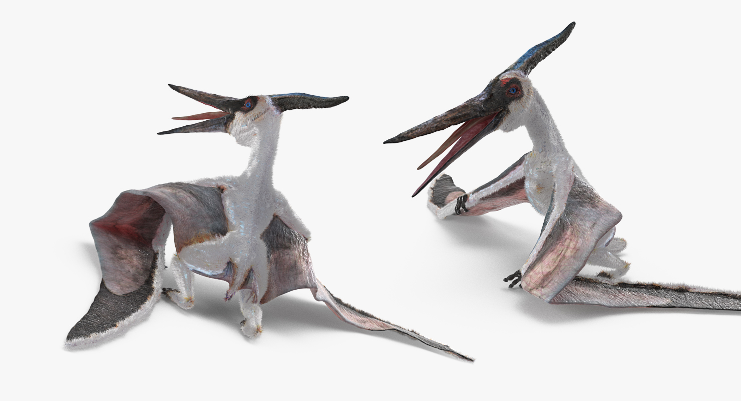 Pterosaur Pteranodon White Rigged with Fur 3D