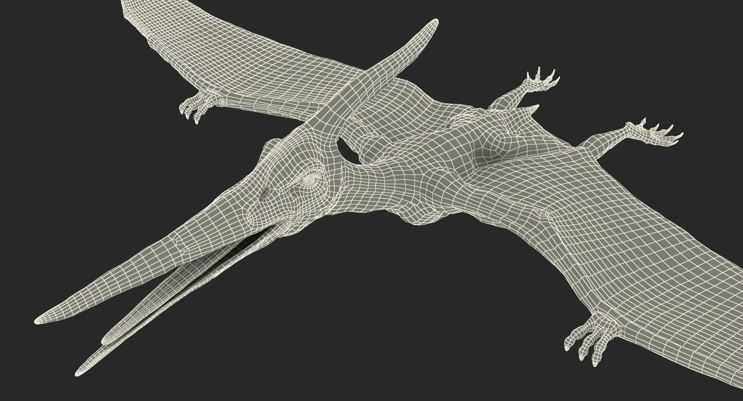 Pterosaur Pteranodon White Rigged with Fur 3D