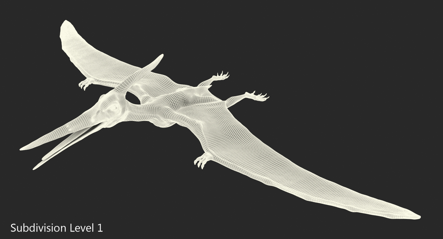 Pterosaur Pteranodon White Rigged with Fur 3D