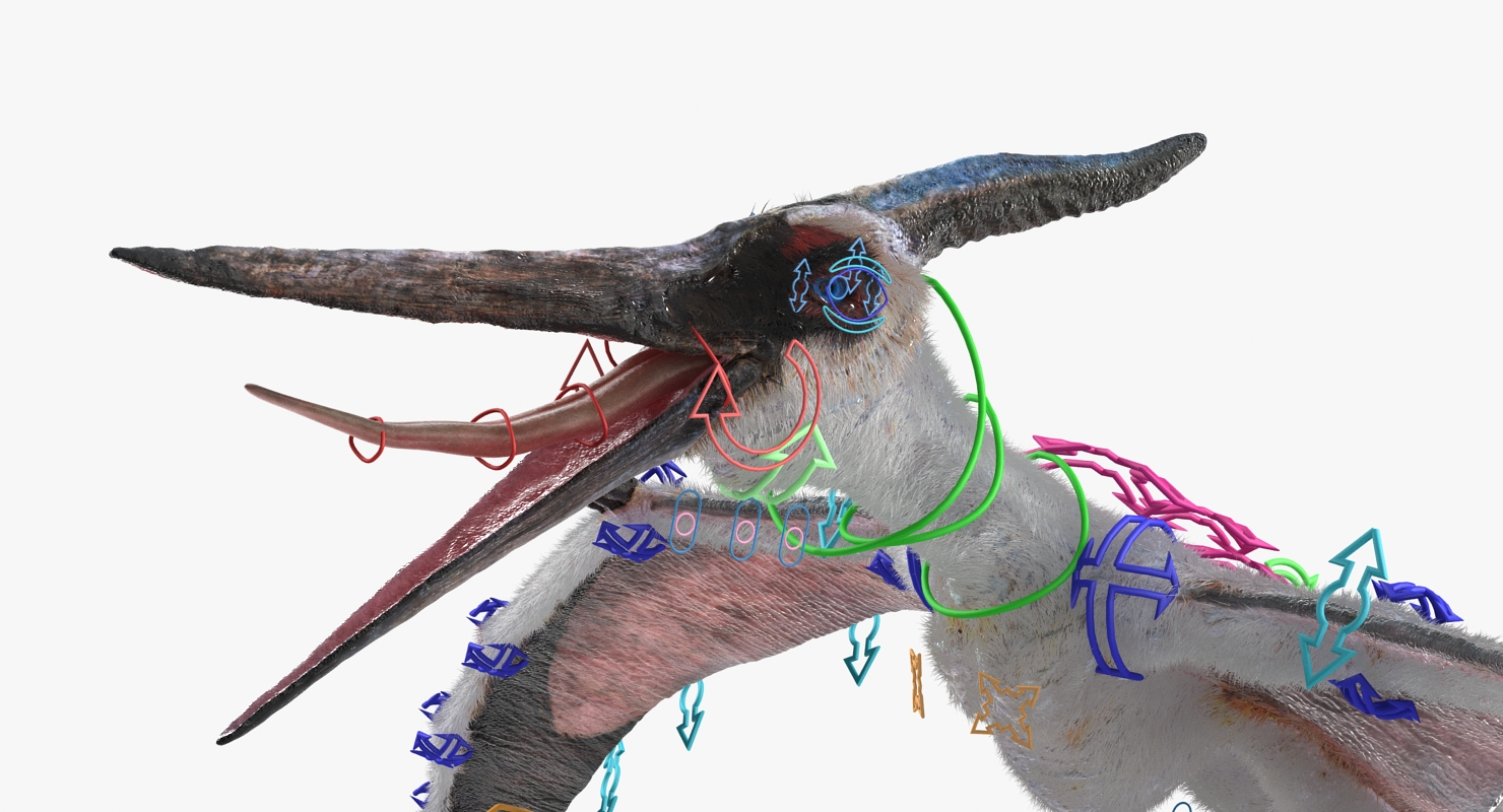 Pterosaur Pteranodon White Rigged with Fur 3D