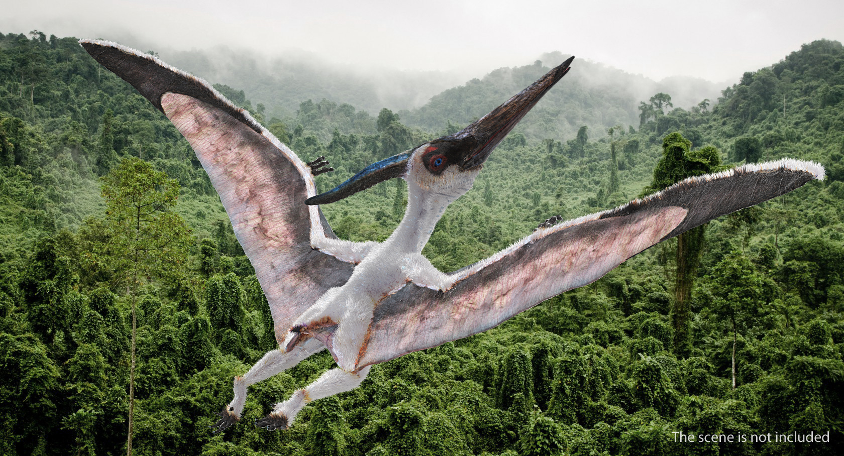 Pterosaur Pteranodon White Rigged with Fur 3D