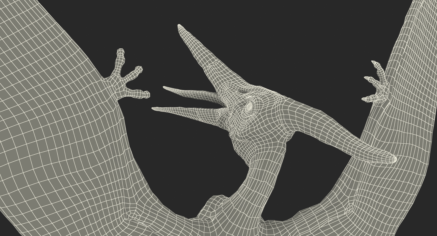 Pterosaur Pteranodon White Rigged with Fur 3D