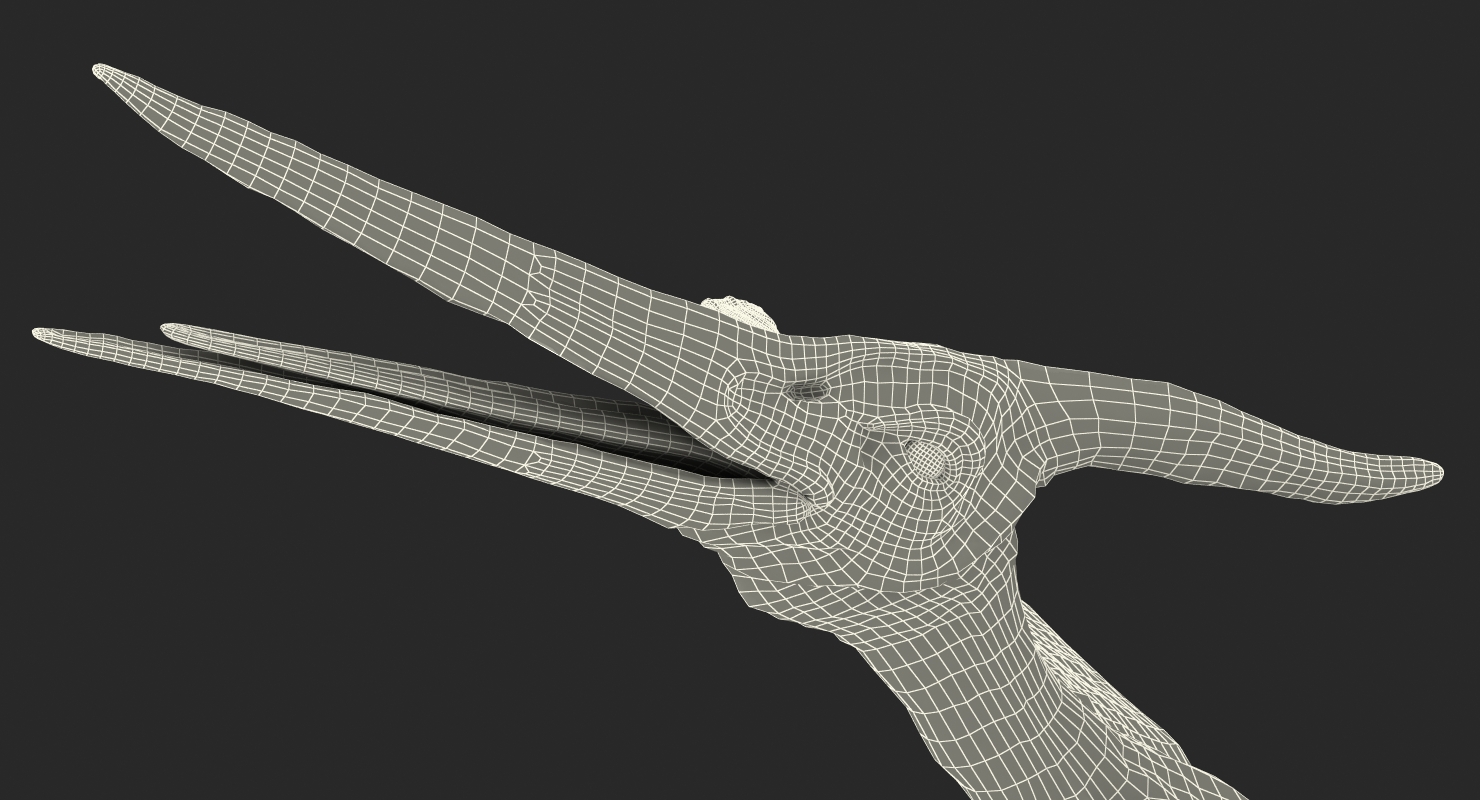 Pterosaur Pteranodon White Rigged with Fur 3D
