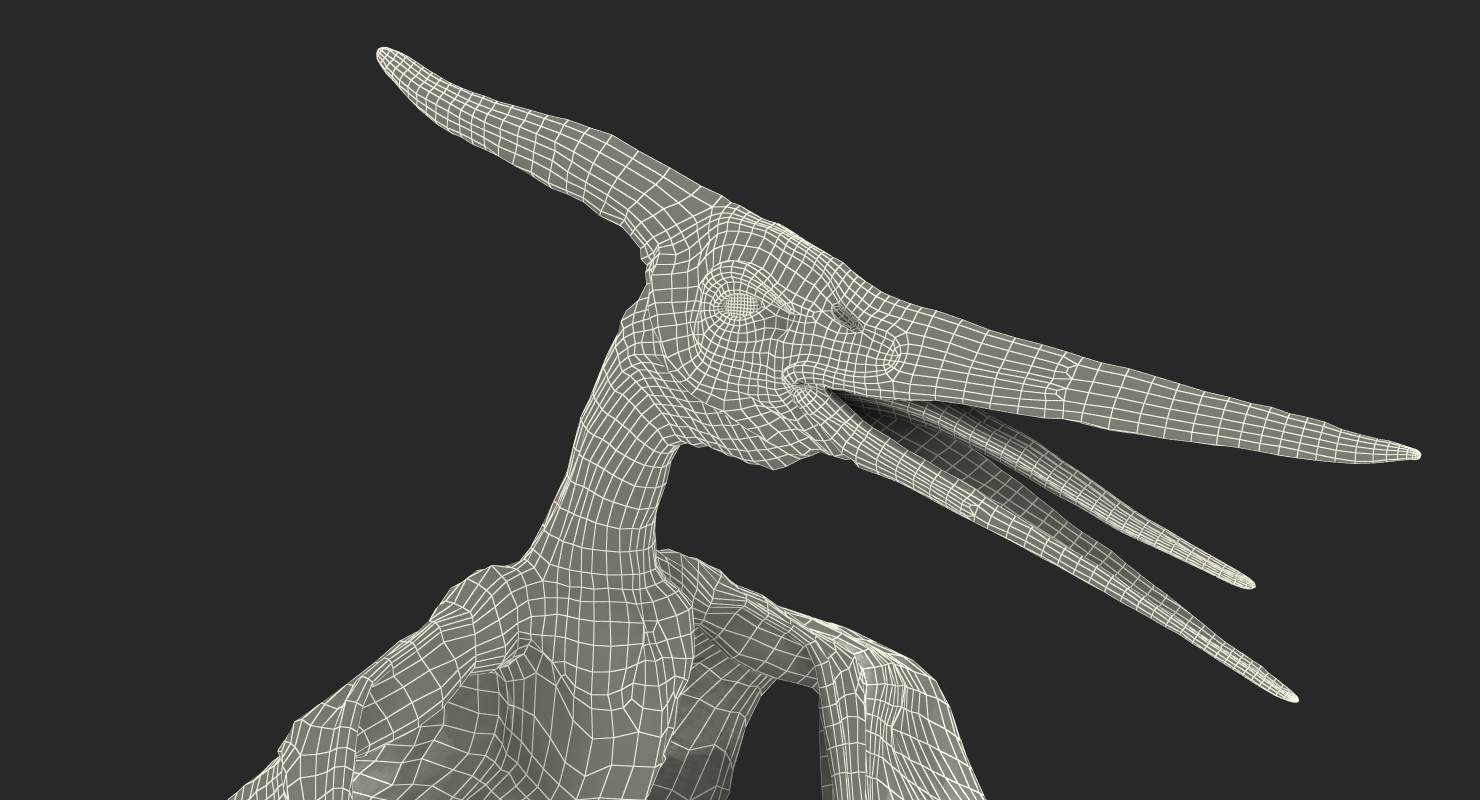 Pterosaur Pteranodon White Rigged with Fur 3D