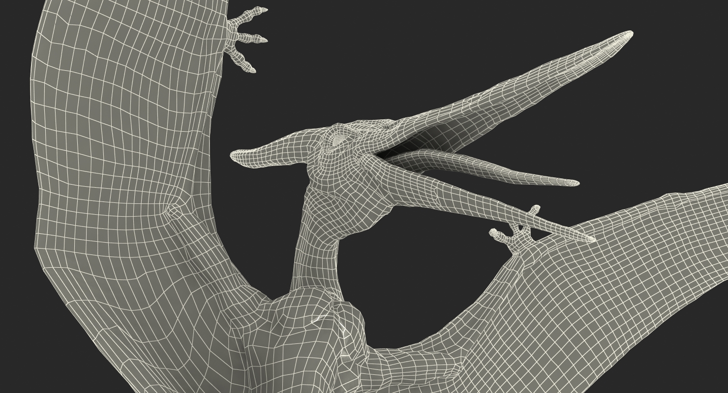 Pterosaur Pteranodon White Rigged with Fur 3D