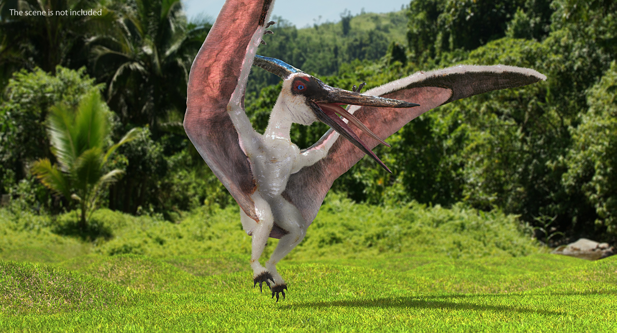 Pterosaur Pteranodon White Rigged with Fur 3D