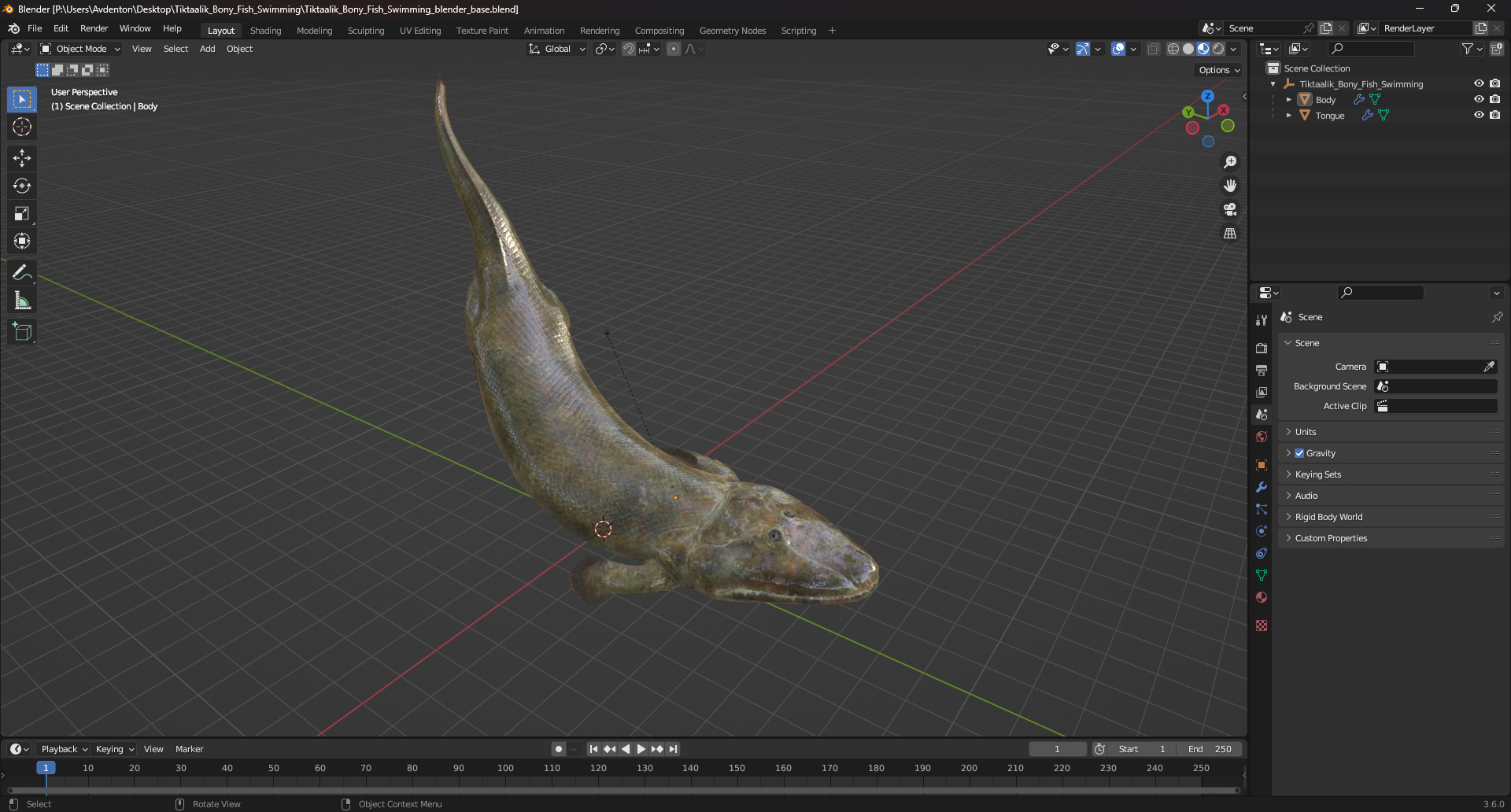 3D Tiktaalik Bony Fish Swimming model
