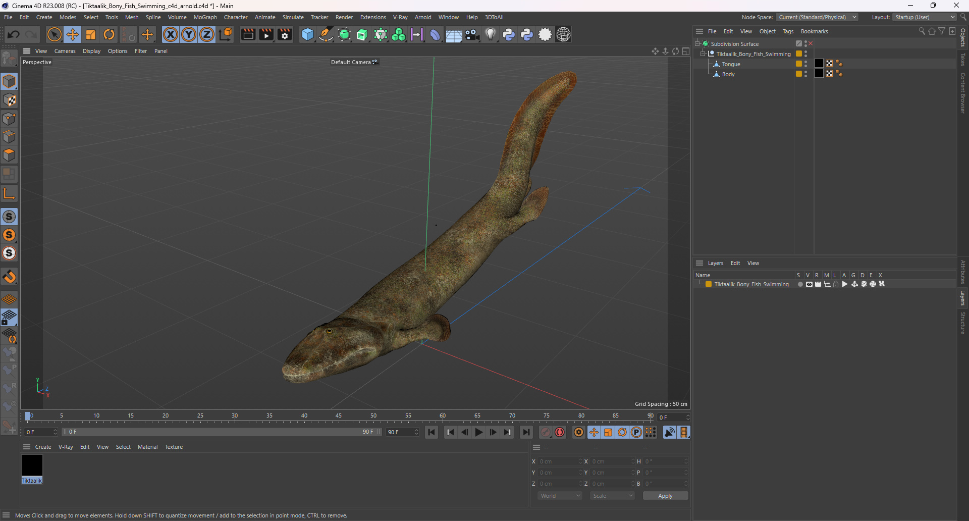 3D Tiktaalik Bony Fish Swimming model