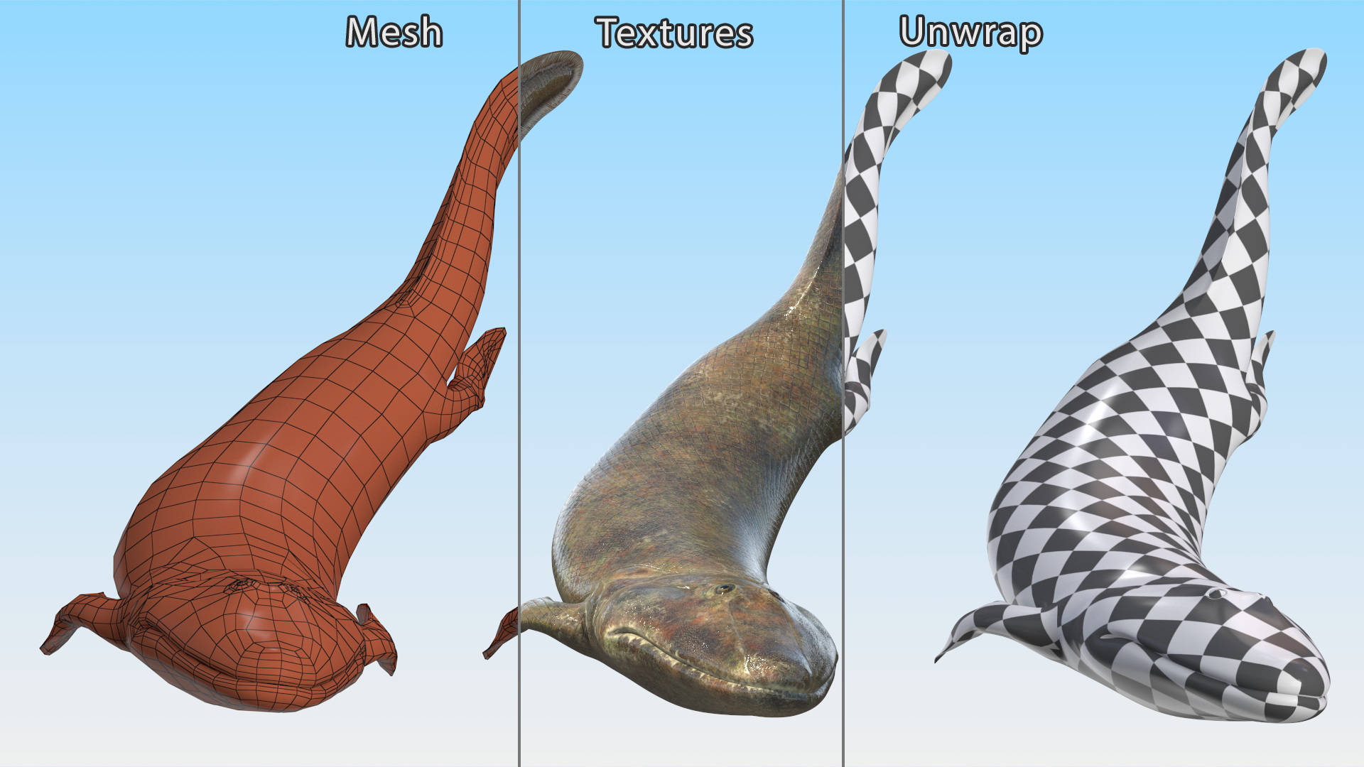 3D Tiktaalik Bony Fish Swimming model