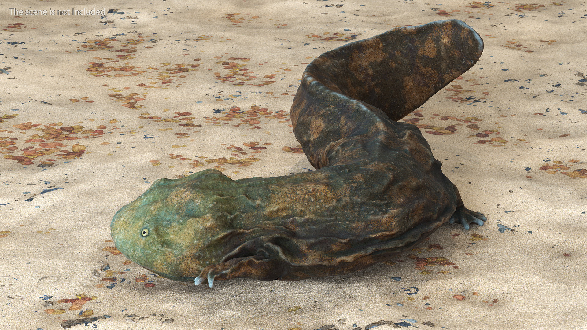 3D model Andrias Davidianus Light Lying