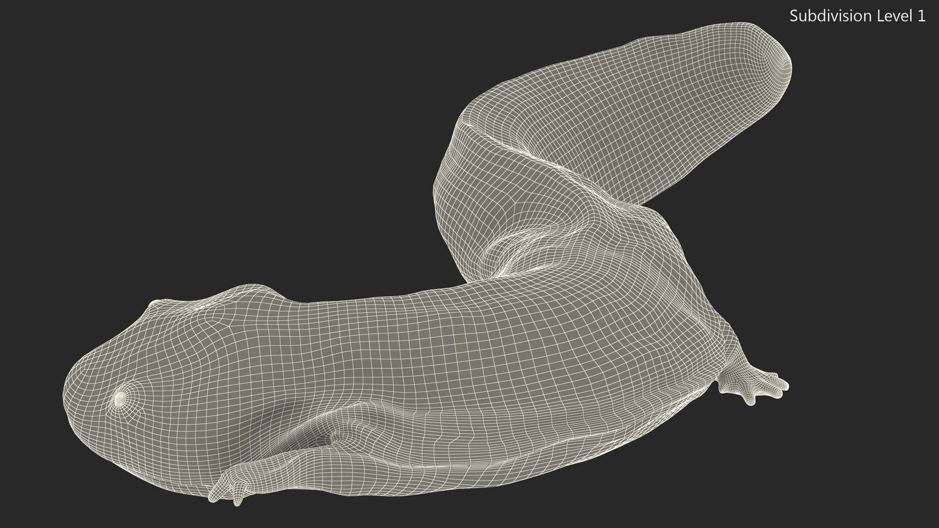 3D model Andrias Davidianus Light Lying