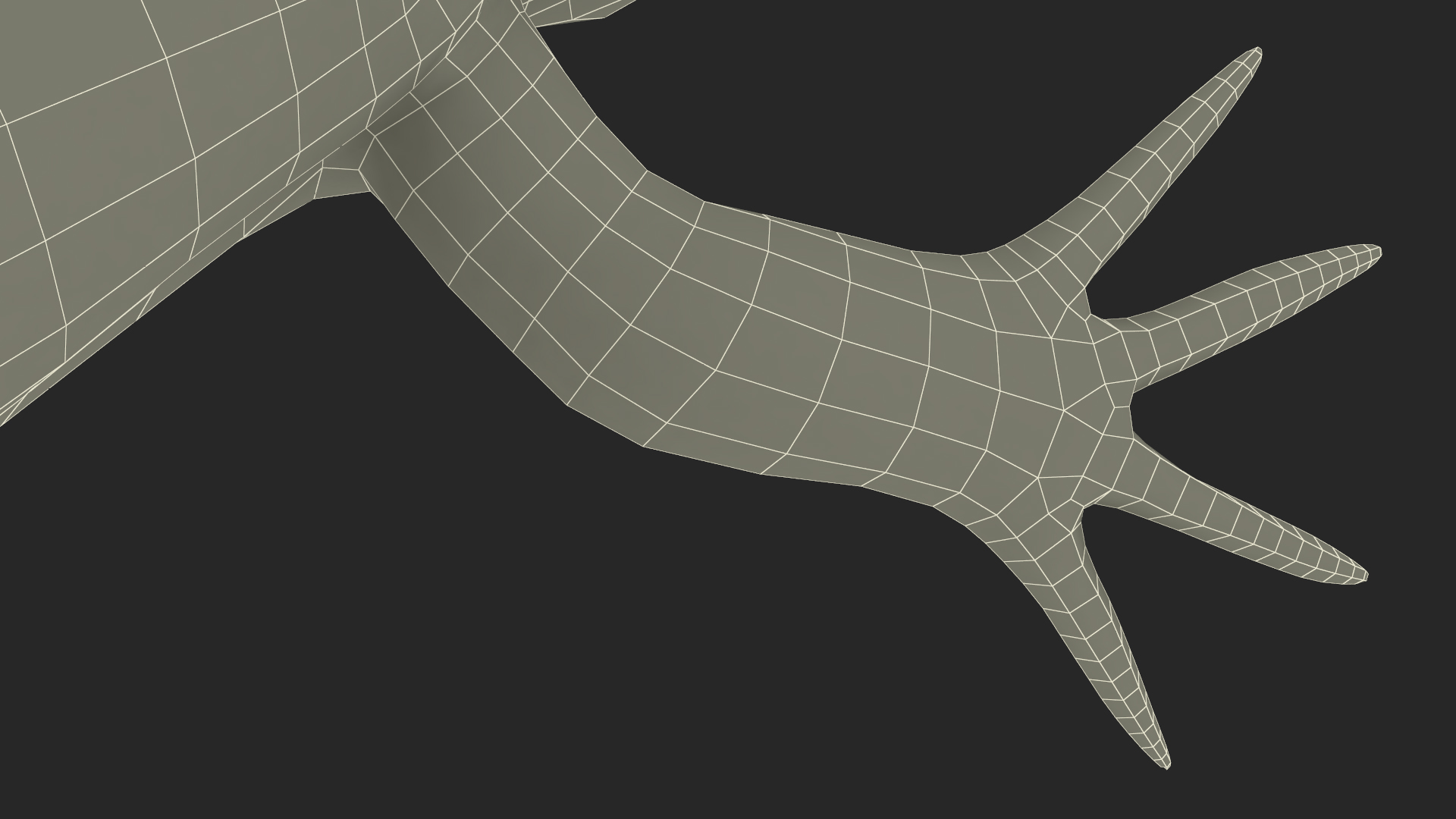 3D Xenopus African Clawed Toad Rigged for Maya model