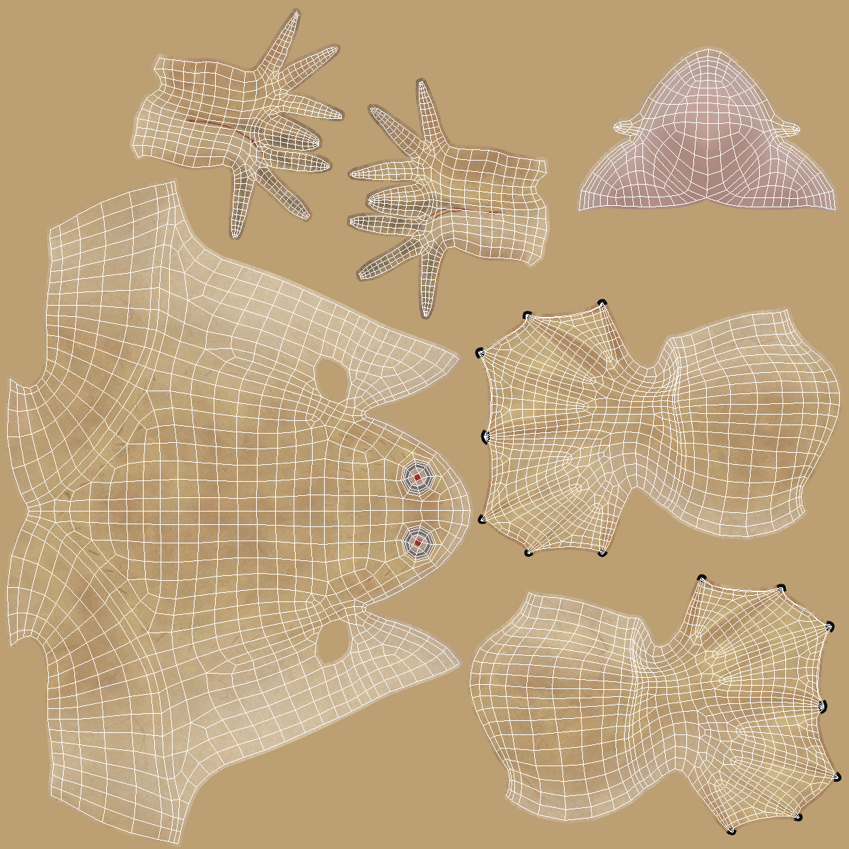 3D Xenopus African Clawed Toad Rigged for Maya model